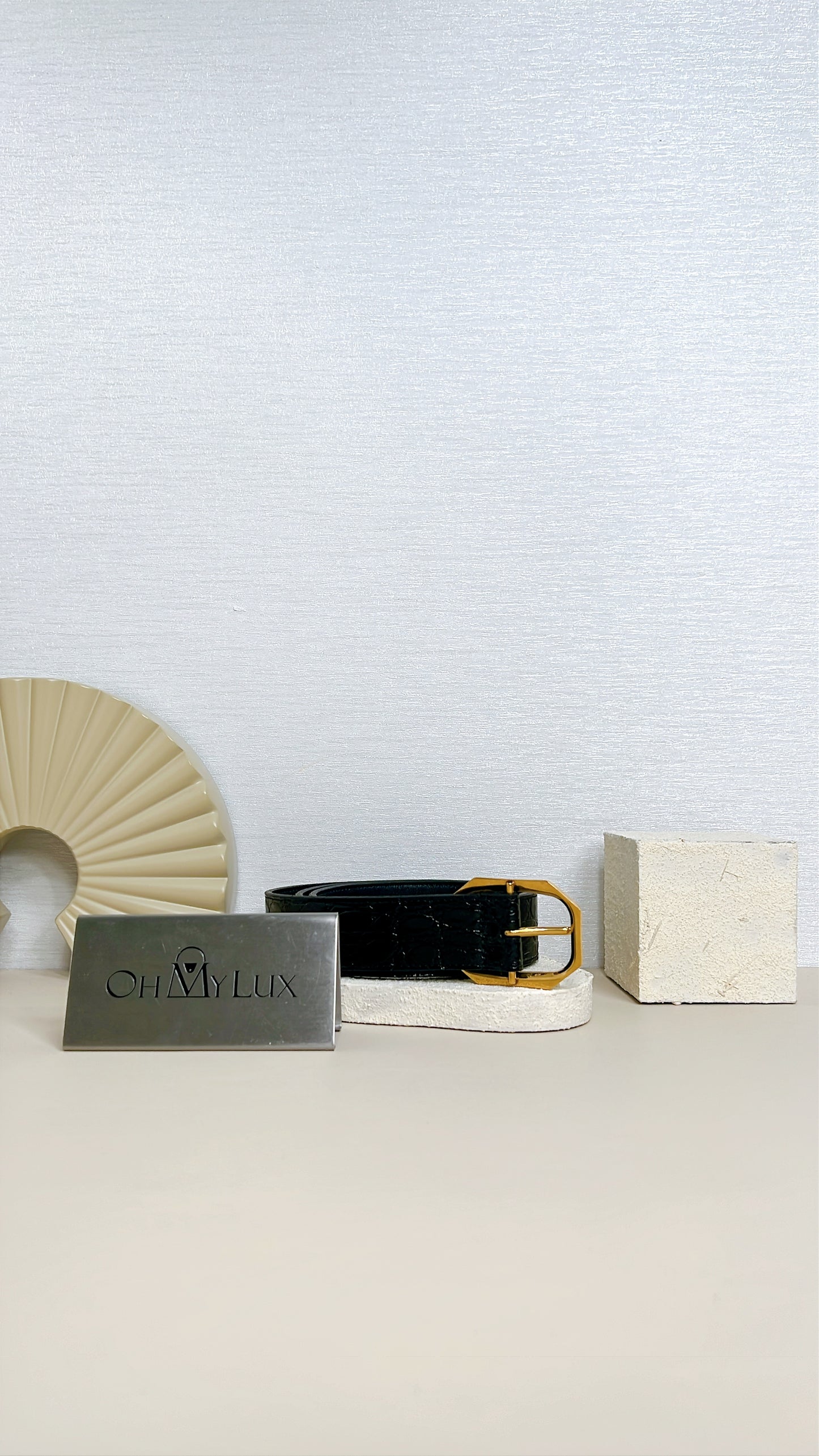 YSL Crocodiler Embossed Belt in Black