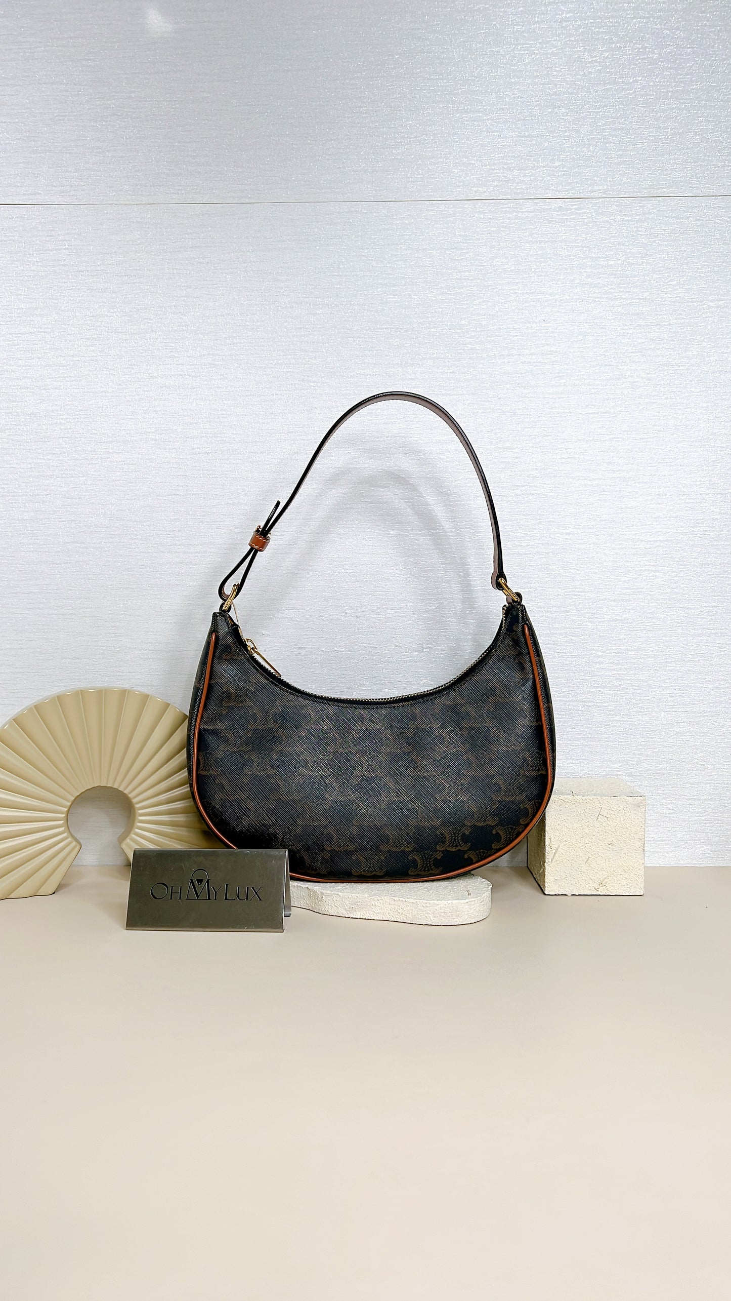 Celine Ava in Tan Triomphe Canvas