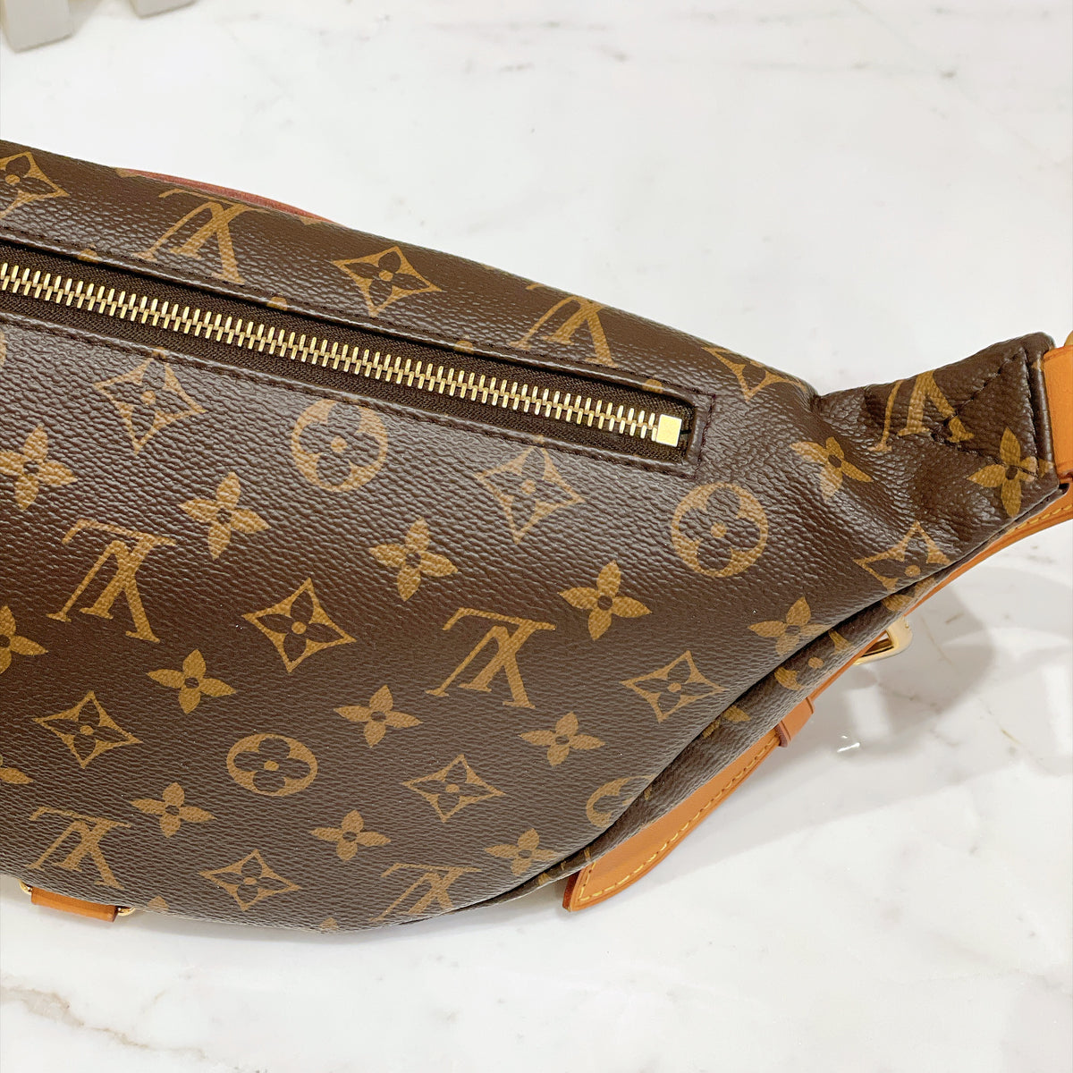 LV Monogram Bumbag
