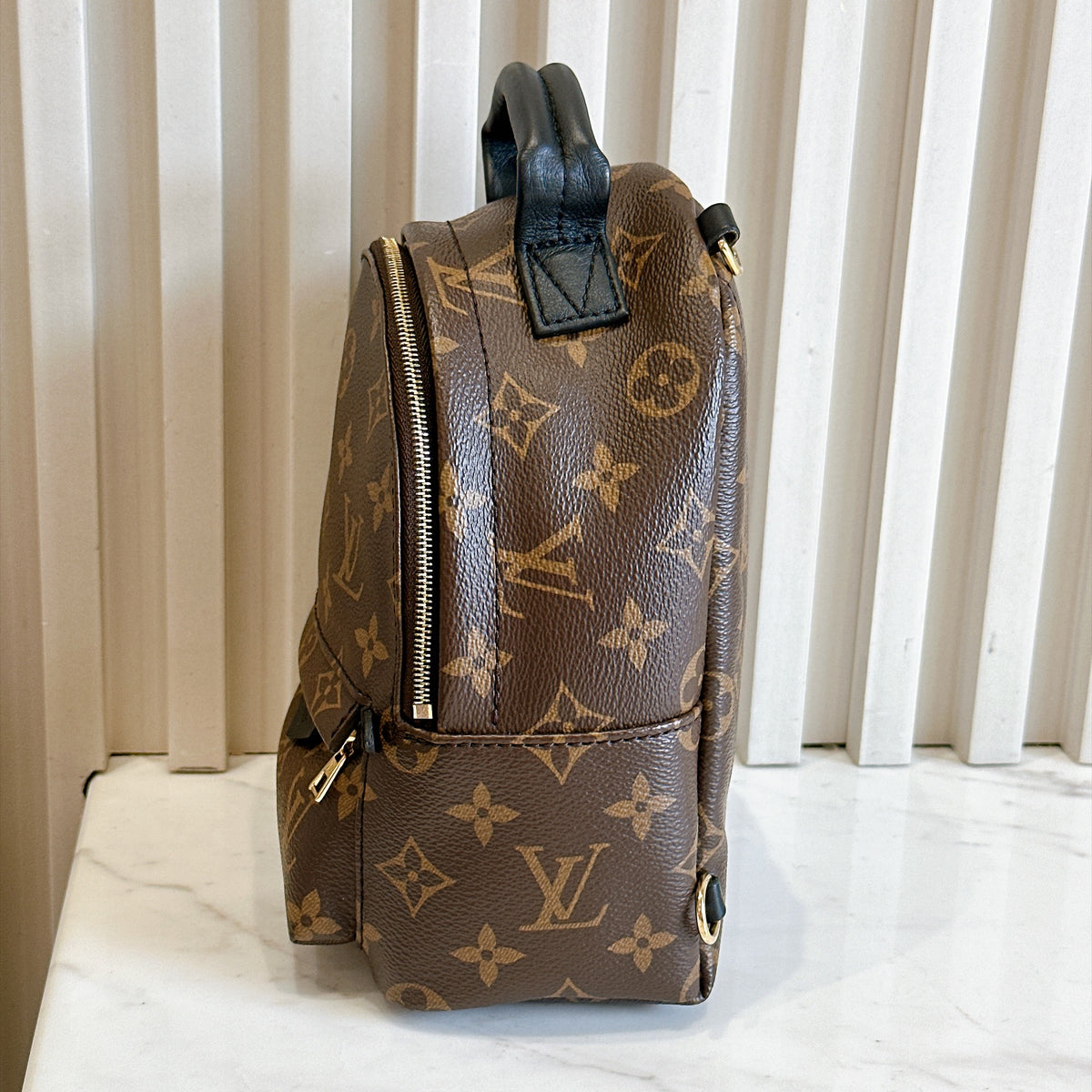 LV Monogram Mini Palm Spring