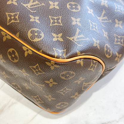 LV Monogram Delightful PM