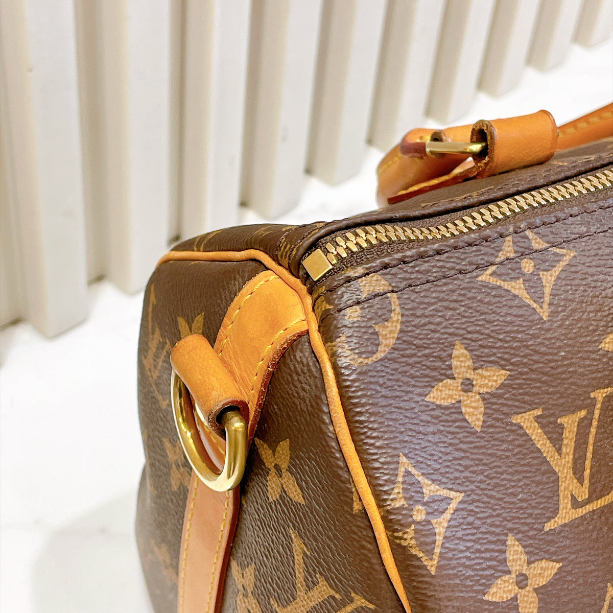 LV Monogram Speedy 25 Bandouliere