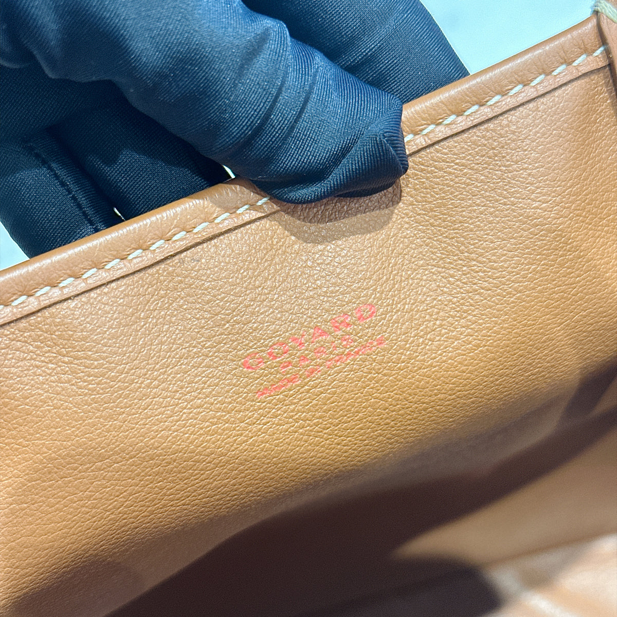 Goyard Mini Anjou in Black and Tan