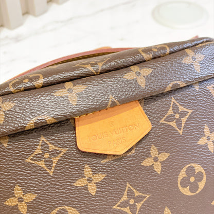 LV Monogram Bumbag