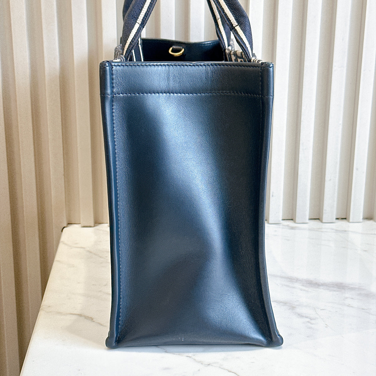 Dior Medium Book Tote In Blue Oblique and Calfskin