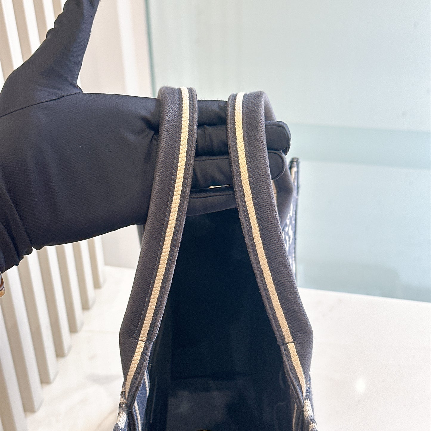 Dior Medium Book Tote In Blue Oblique and Calfskin