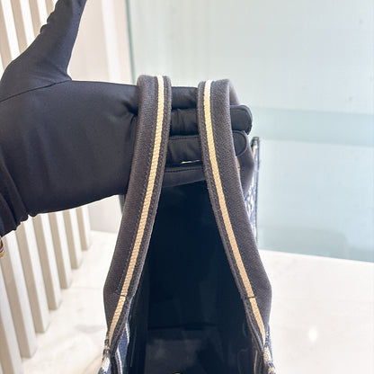 Dior Medium Book Tote In Blue Oblique and Calfskin