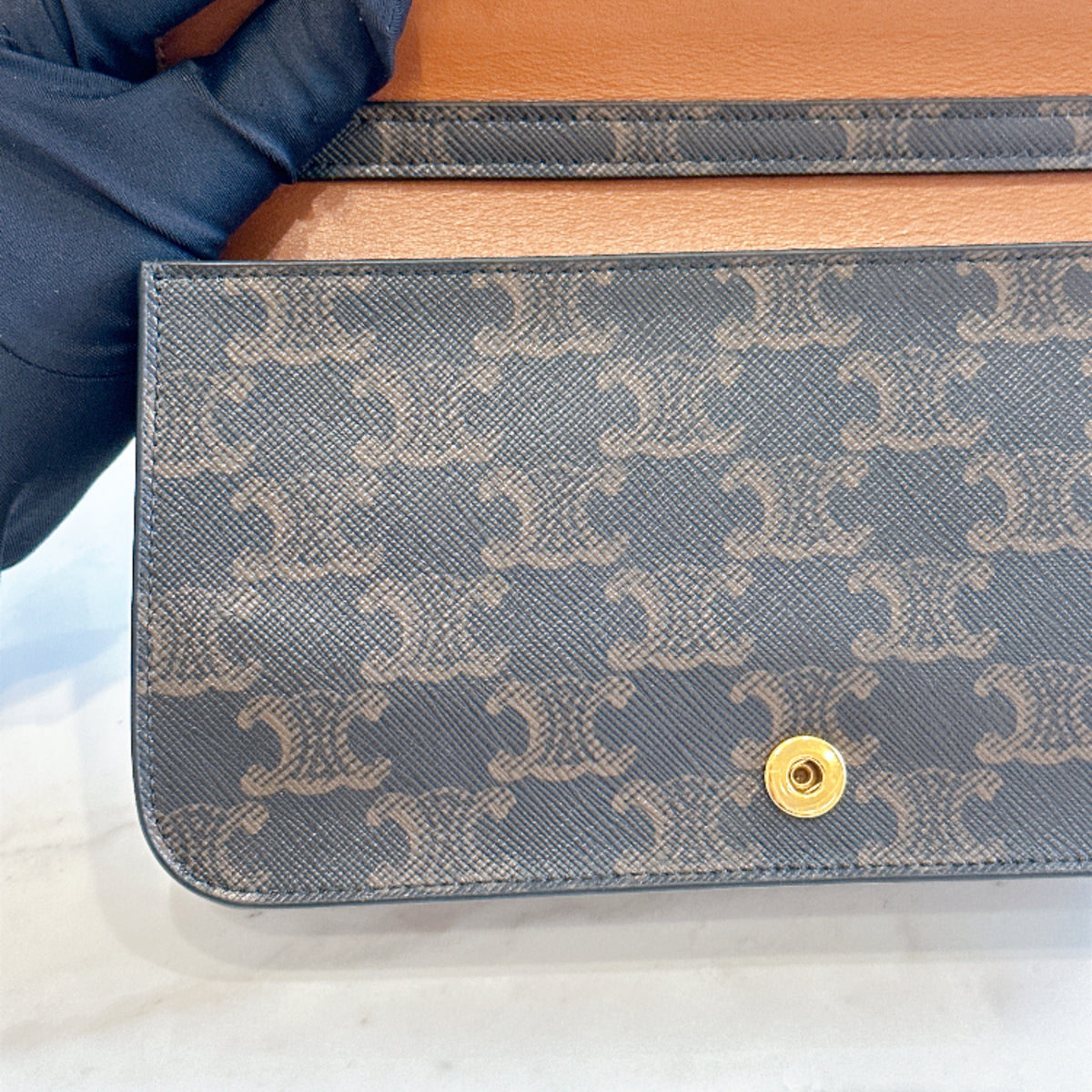 Celine Multipochette in Triomphe Canvas