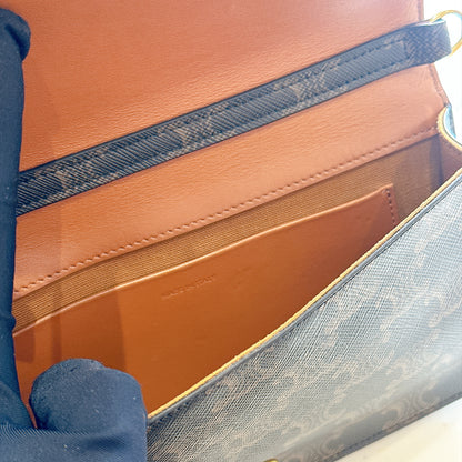 Celine Multipochette in Triomphe Canvas