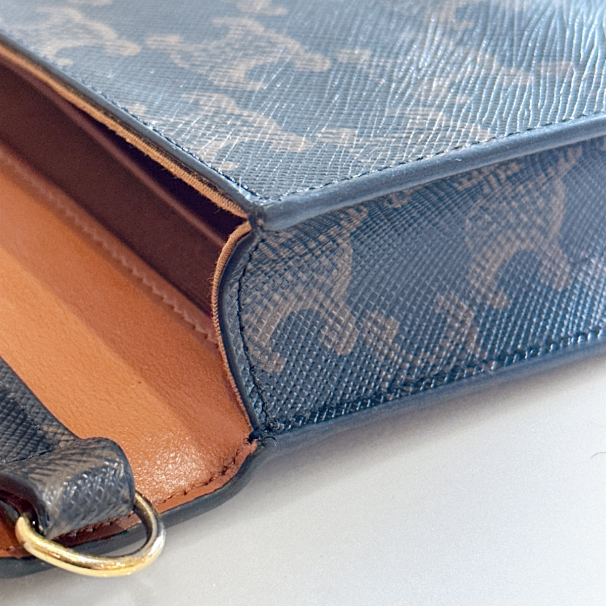 Celine Multipochette in Triomphe Canvas