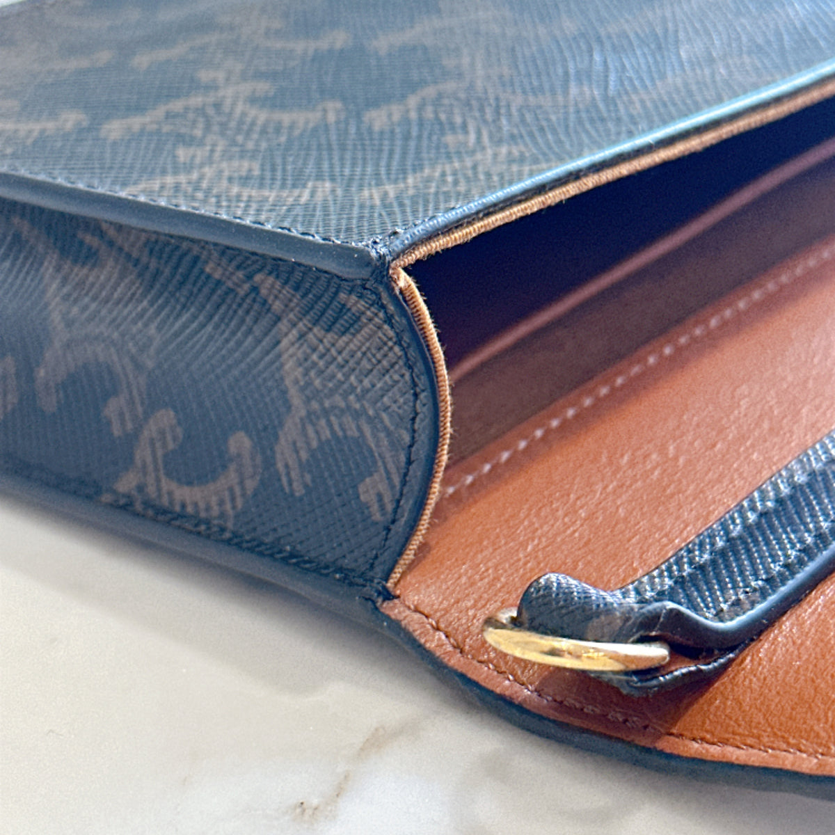 Celine Multipochette in Triomphe Canvas