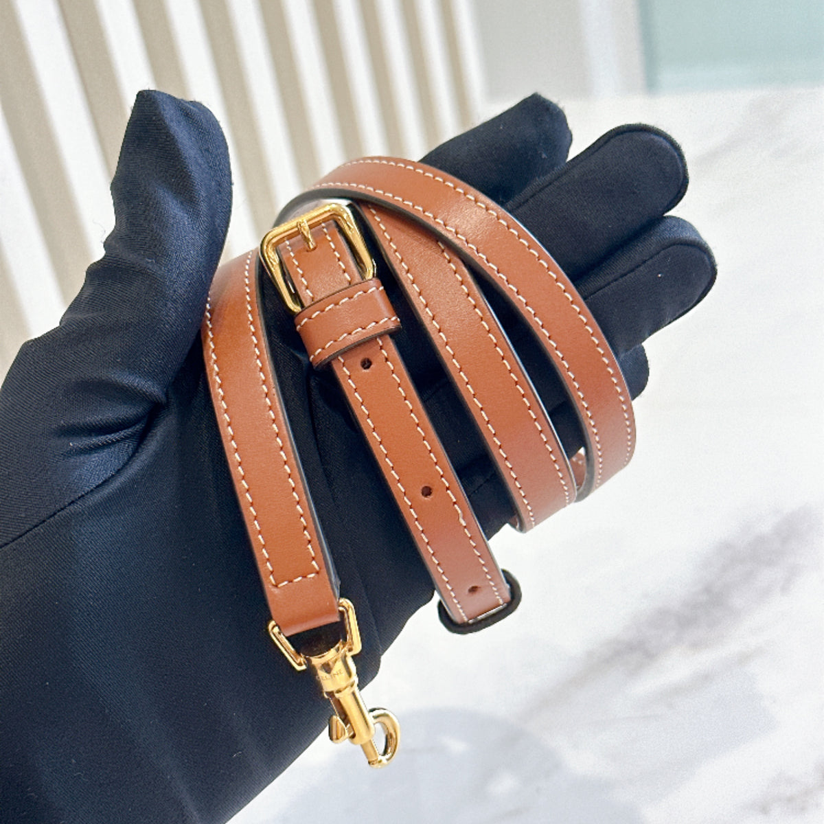 Celine Multipochette in Triomphe Canvas