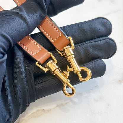 Celine Multipochette in Triomphe Canvas