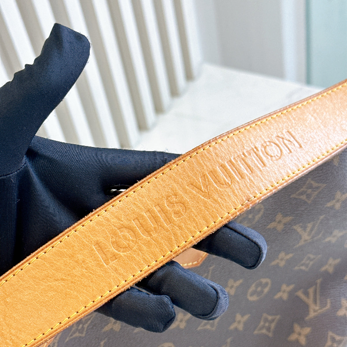 LV Monogram Delightful PM
