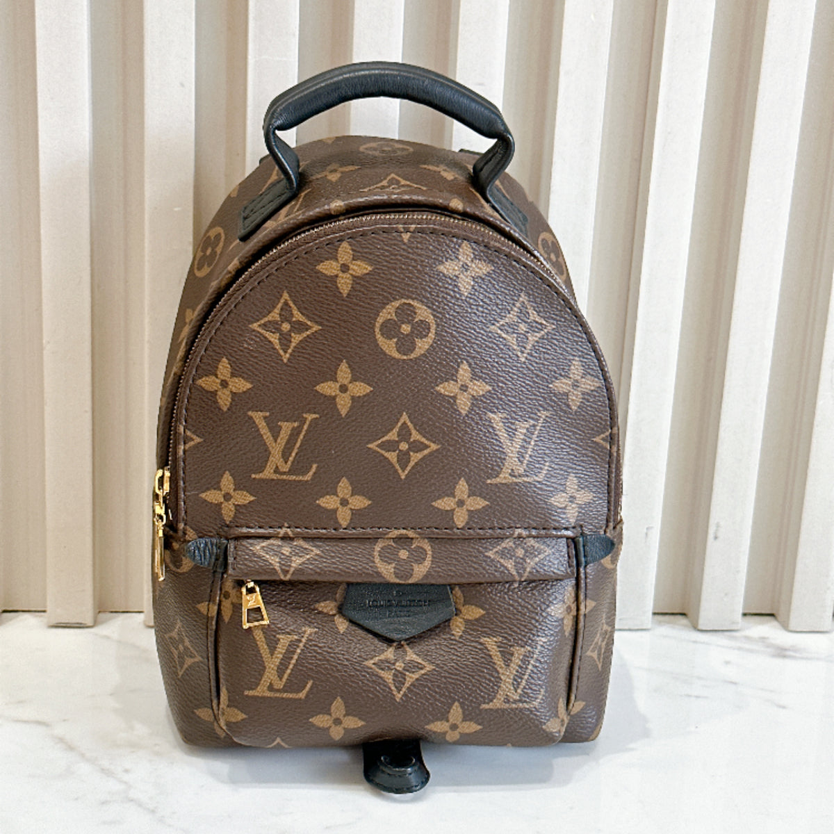 LV Monogram Mini Palm Spring