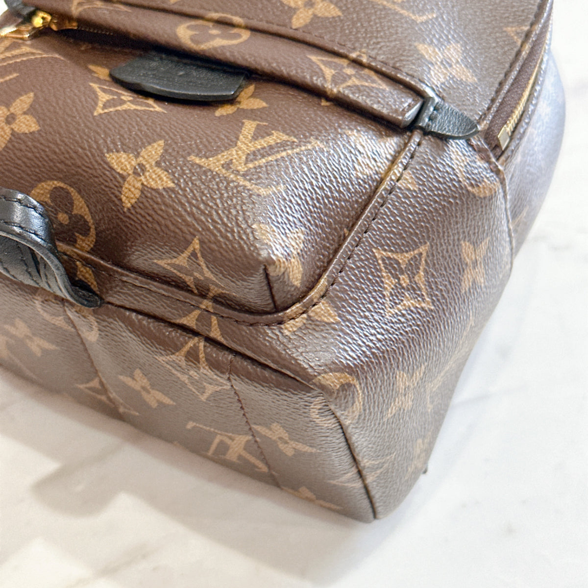 LV Monogram Mini Palm Spring