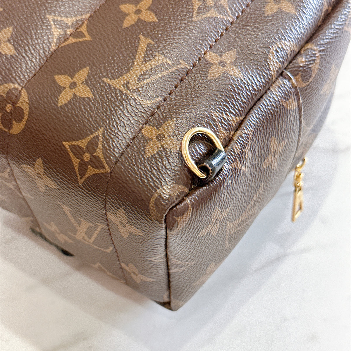 LV Monogram Mini Palm Spring