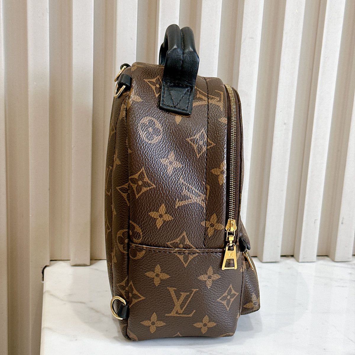 LV Monogram Mini Palm Spring