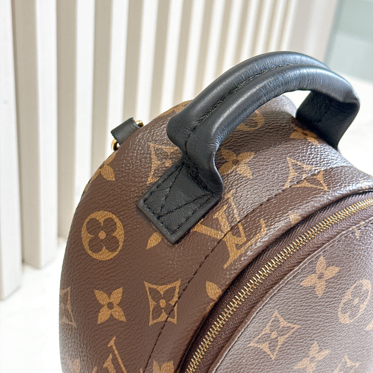LV Monogram Mini Palm Spring