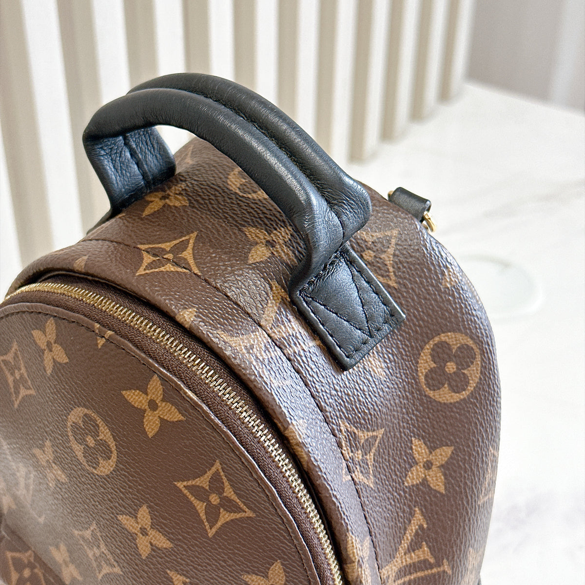 LV Monogram Mini Palm Spring