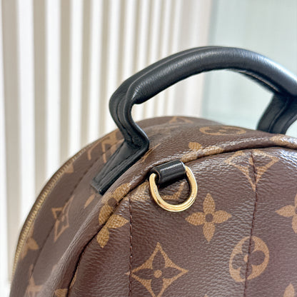 LV Monogram Mini Palm Spring