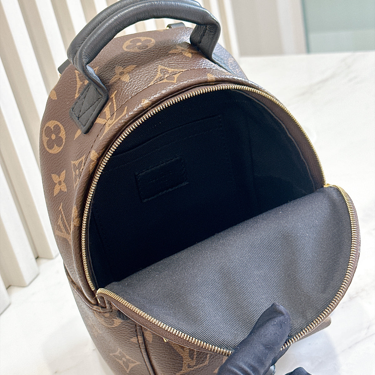 LV Monogram Mini Palm Spring