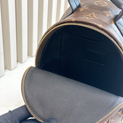 LV Monogram Mini Palm Spring