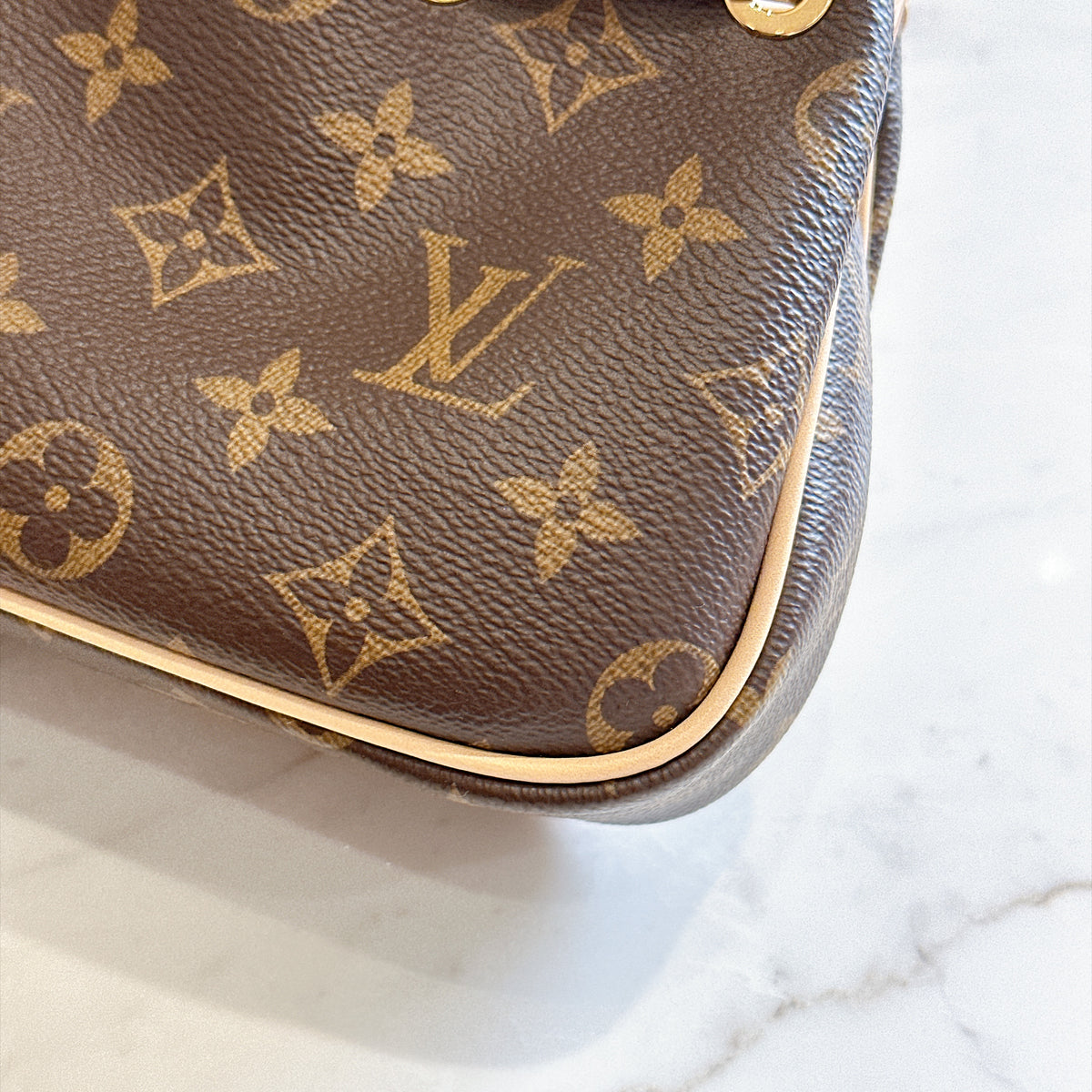 LV Monogram Nano Frivole