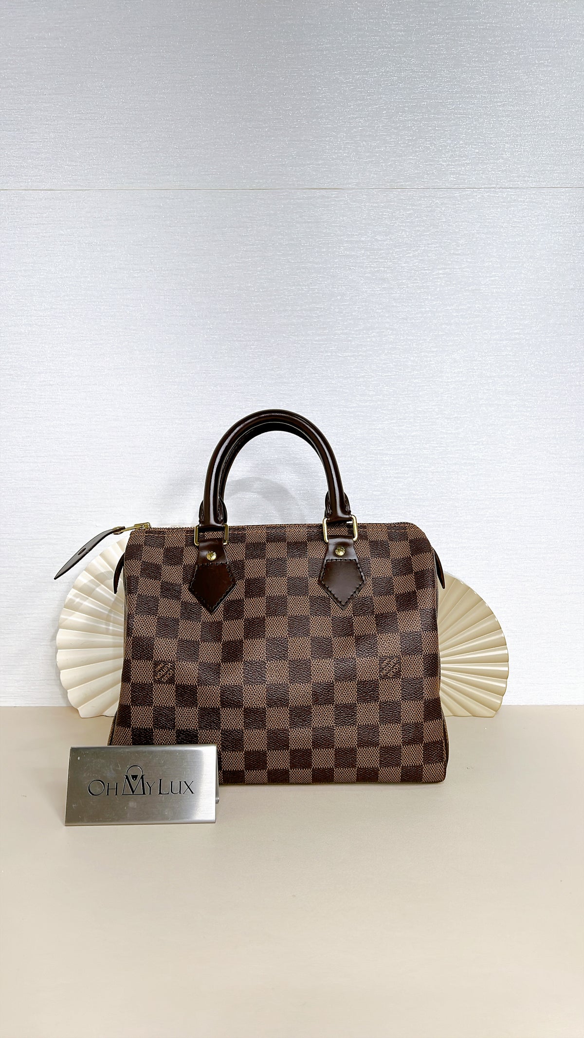 LV Speedy 25 Damier Ebene