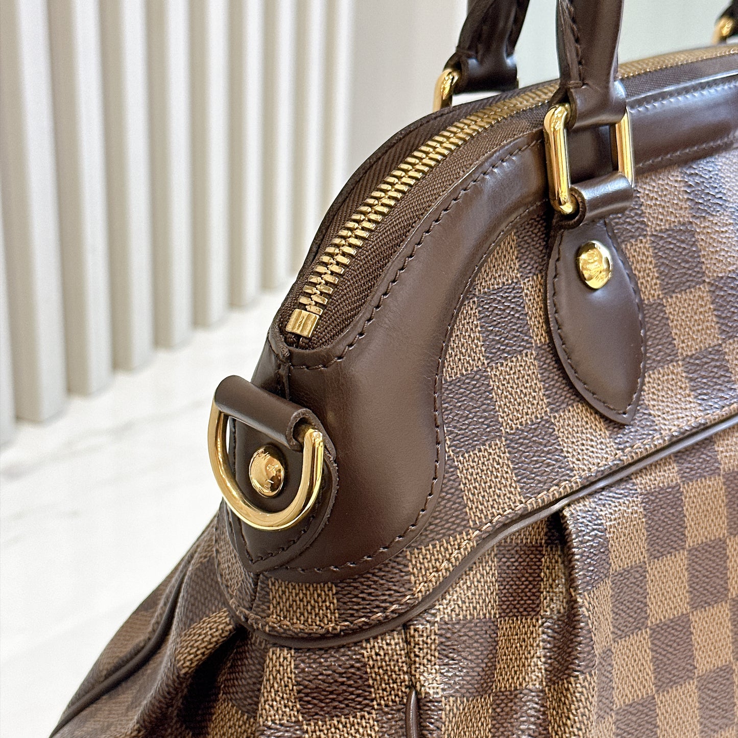 LV Trevi PM in Damier Ebene