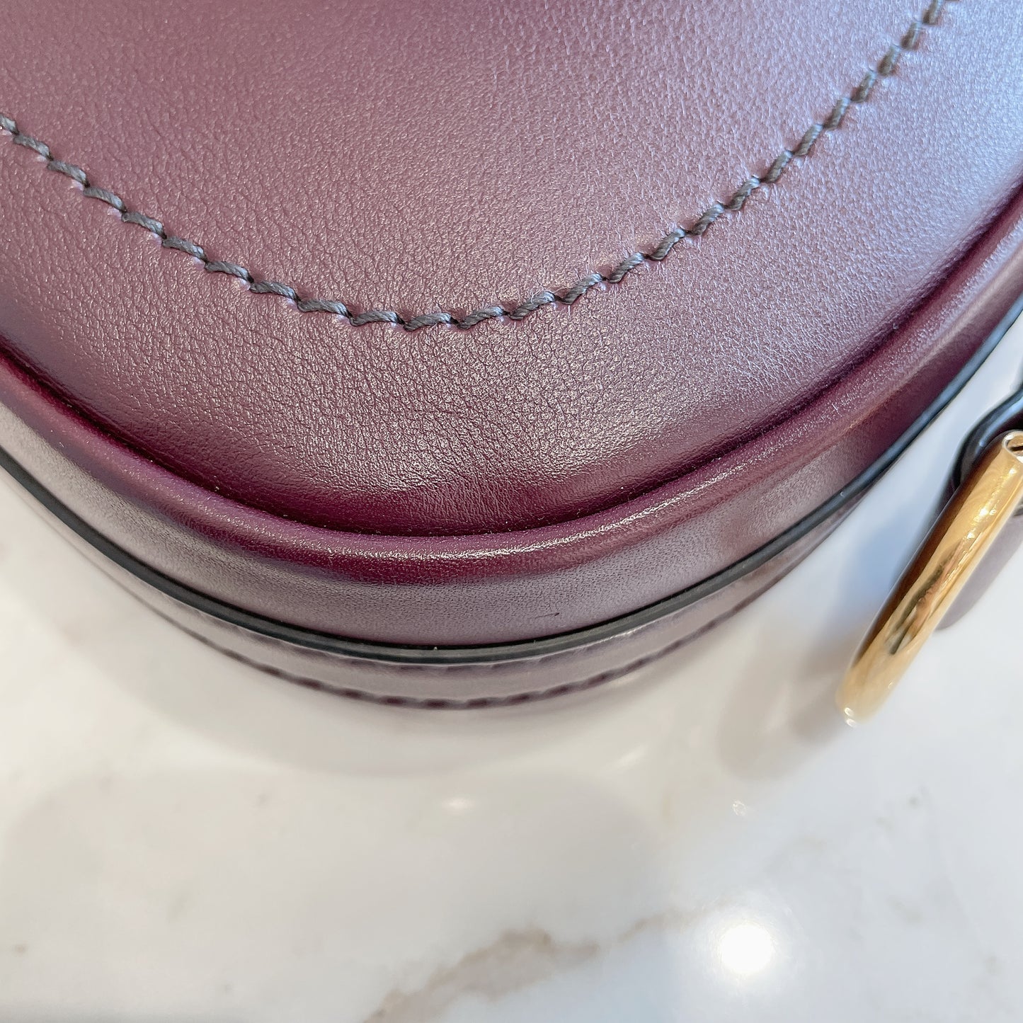 Dior D Fence Saddle