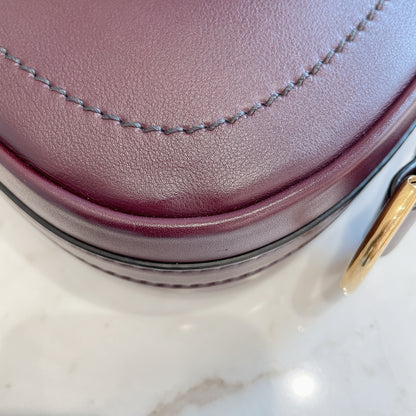 Dior D Fence Saddle