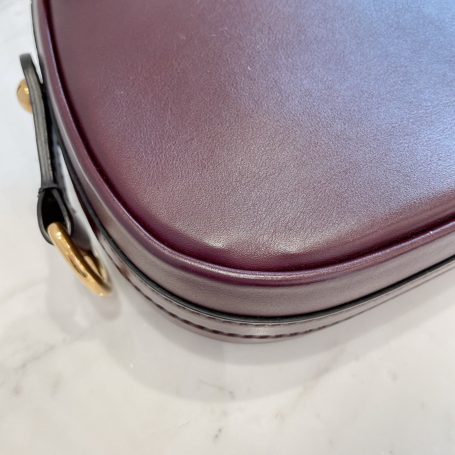 Dior D Fence Saddle