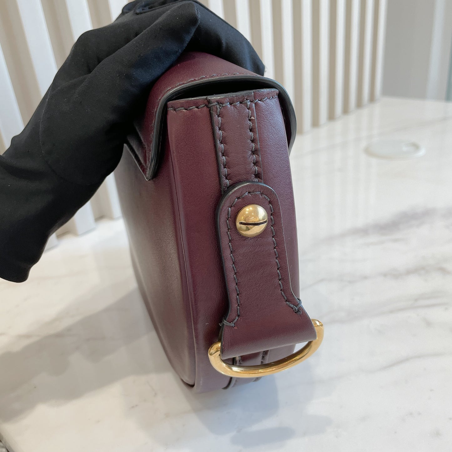 Dior D Fence Saddle