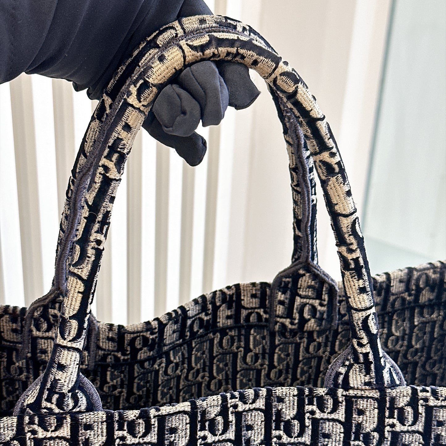 Dior Large Book Tote in Blue in Embroidered Velvet