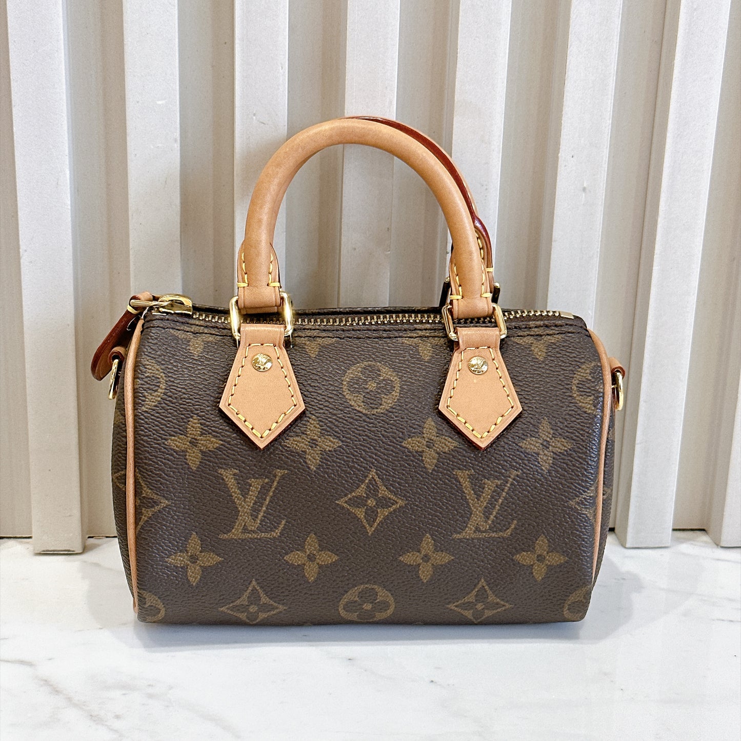 LV Monogram Nano Speedy