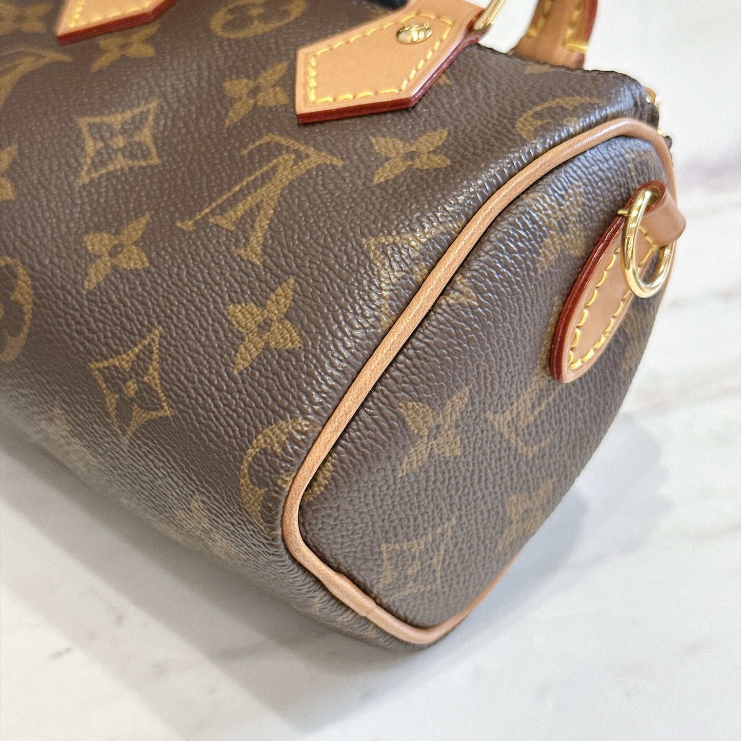LV Monogram Nano Speedy