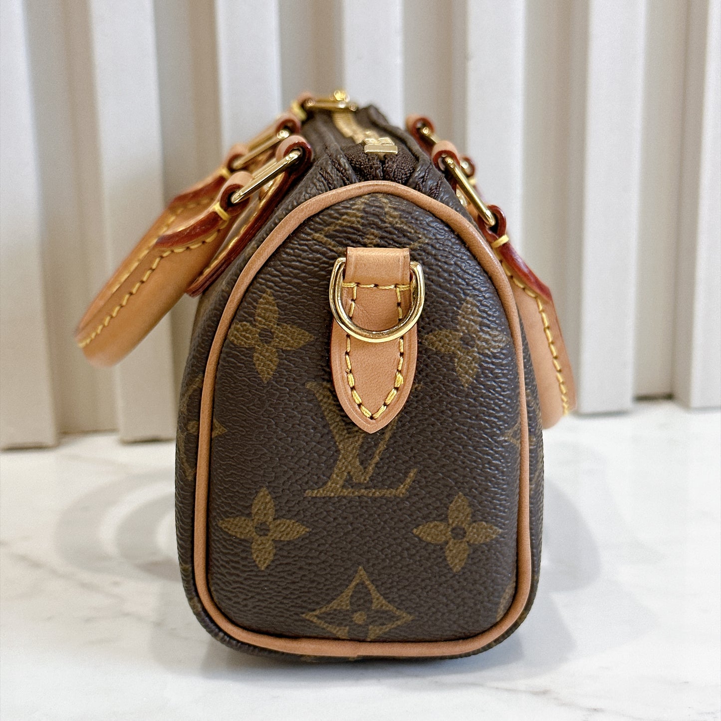 LV Monogram Nano Speedy