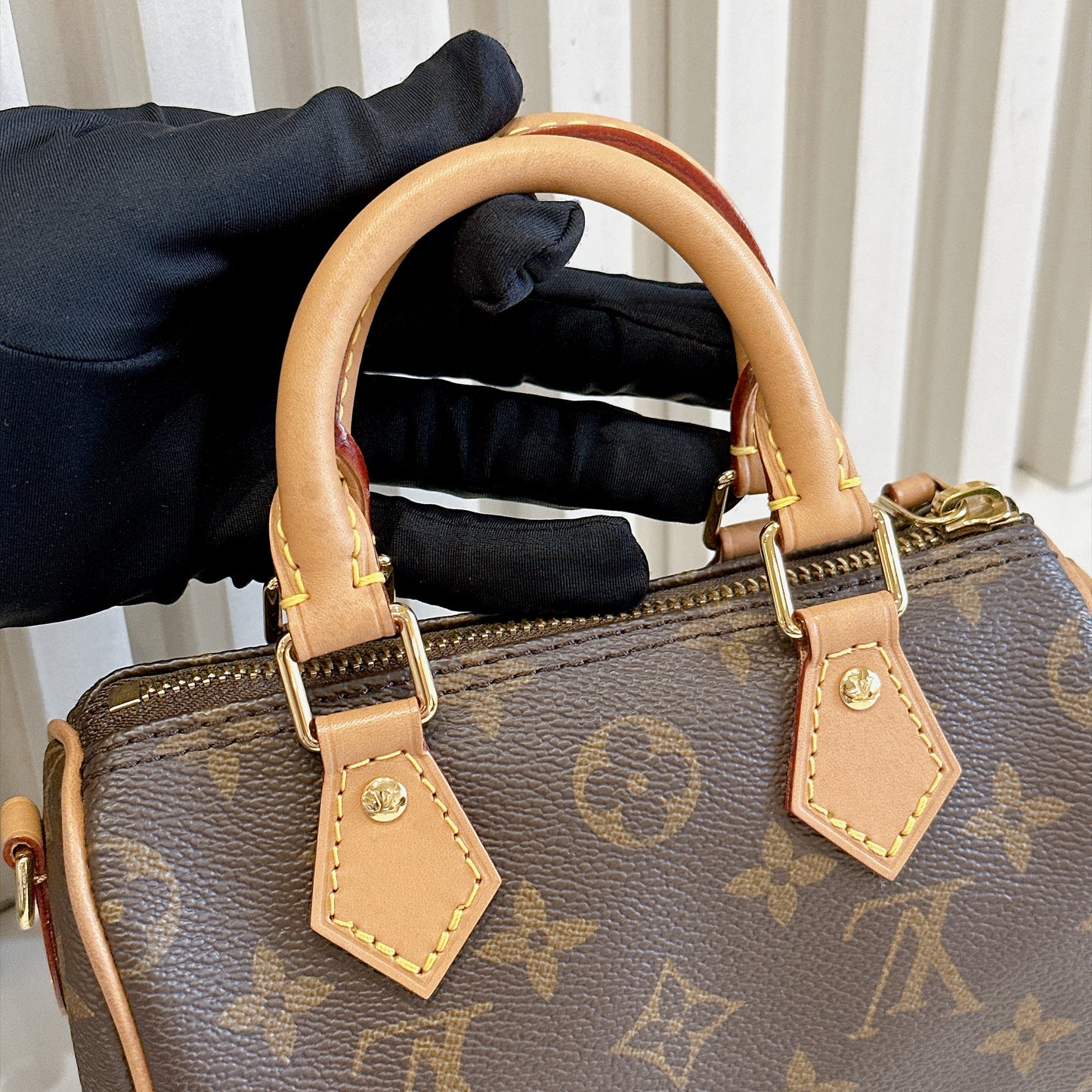 LV Monogram Nano Speedy