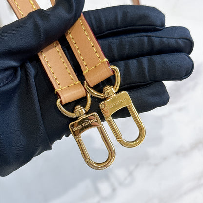 LV Monogram Nano Speedy