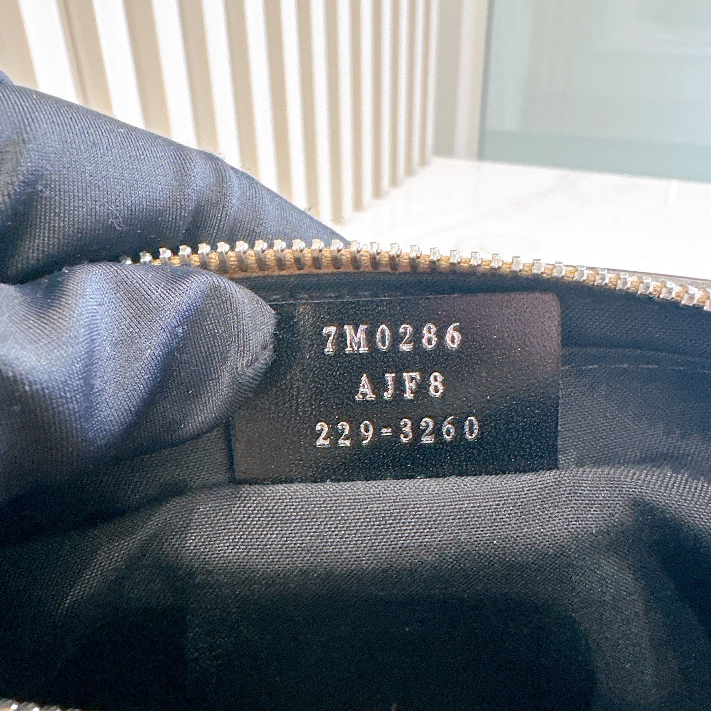 Fendi Diagonal Camera Case