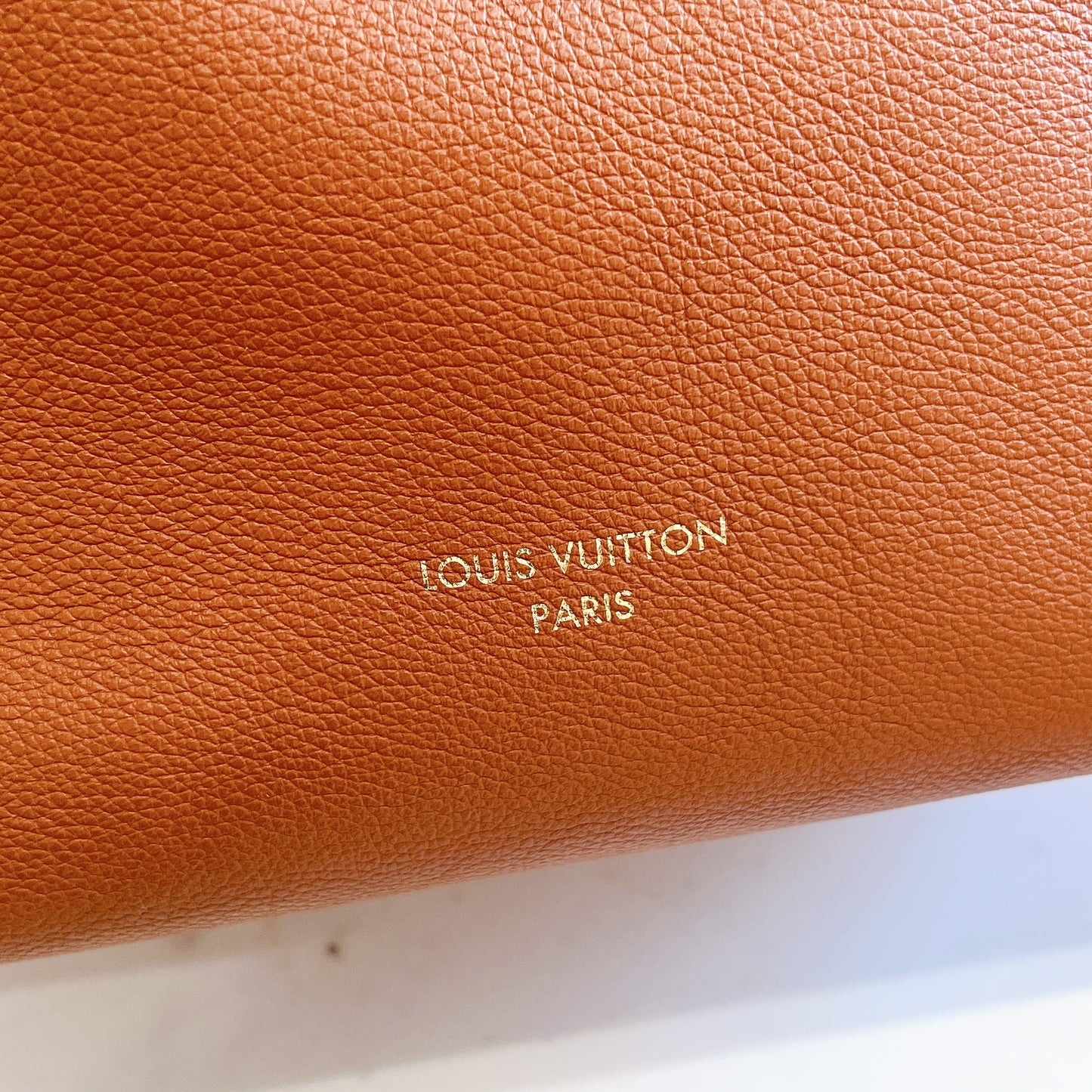 LV Low Key Hobo in PM in Cognac