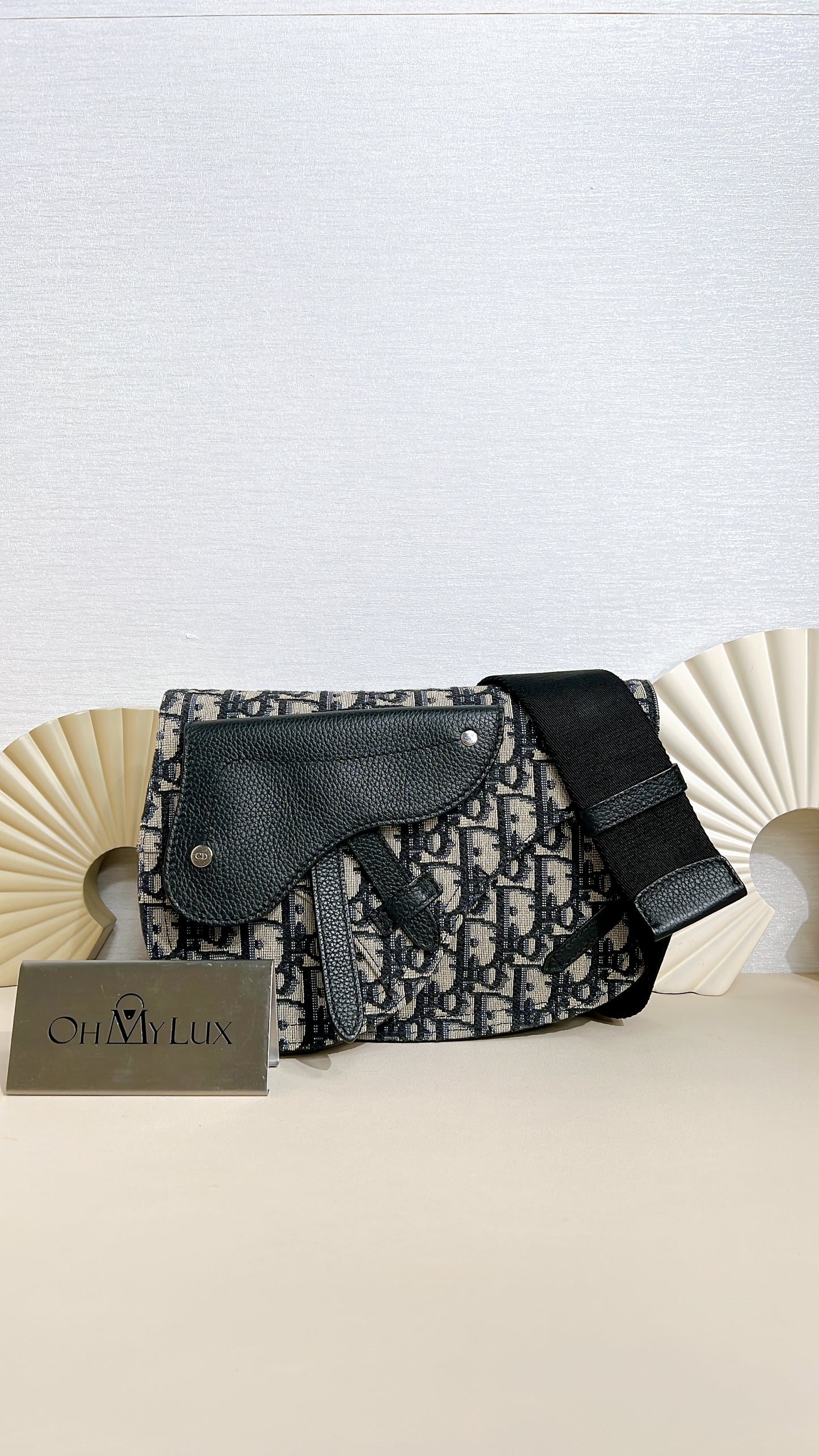 Dior Saddle Pouch in Blue Dior Oblique