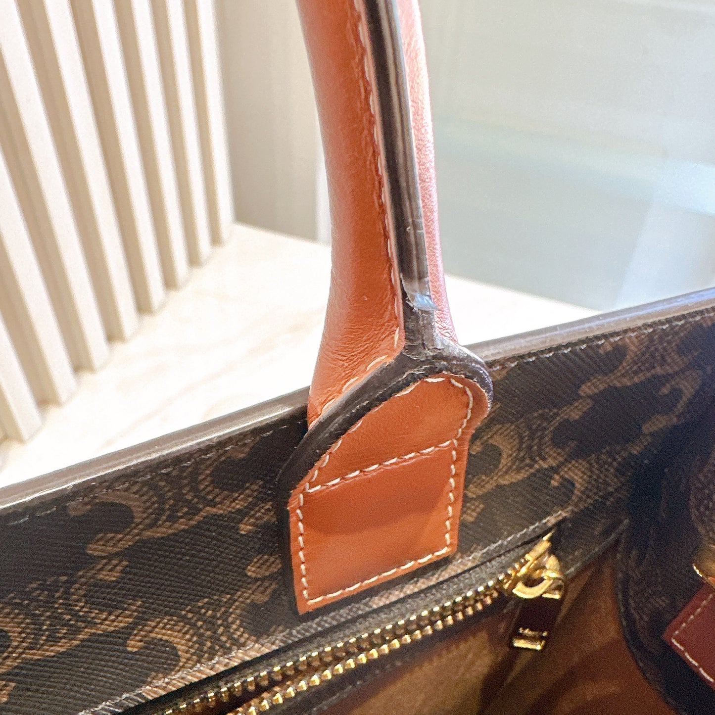 Celine Triomphe Cabas Vertical in Medium