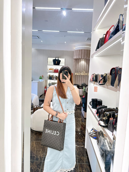 Celine Triomphe Cabas Vertical in Medium