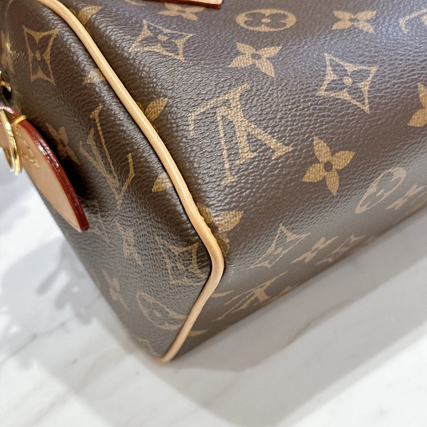 LV Monogram Speedy 20 in Black Strap
