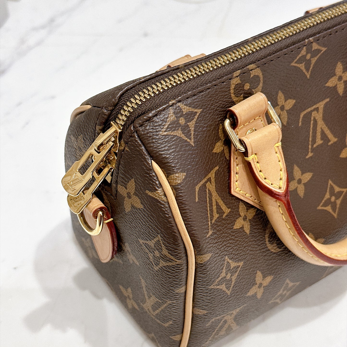 LV Monogram Speedy 20 in Black Strap