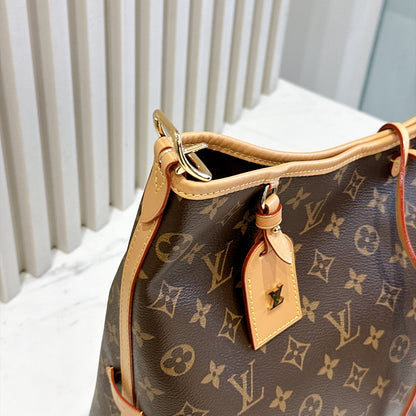 LV Carryall Monogram MM
