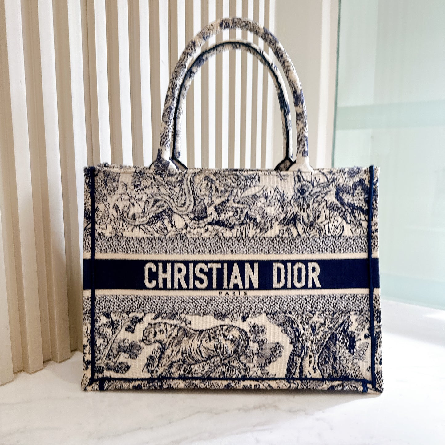 Dior Medium Book Tote in Ecru and Blue Toile De Jouy Embroidery