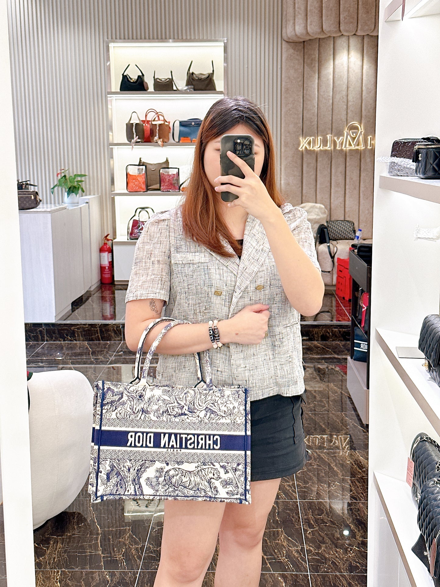 Dior Medium Book Tote in Ecru and Blue Toile De Jouy Embroidery
